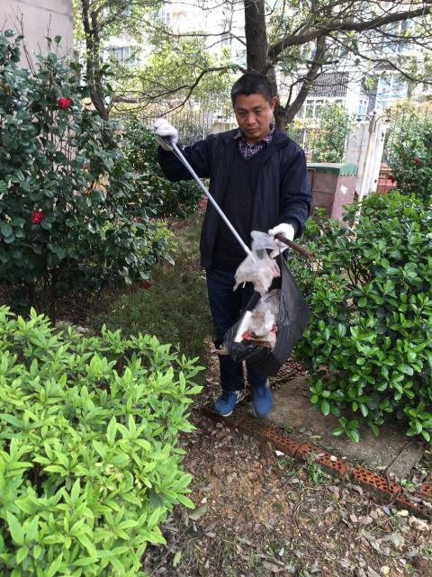 控制鼠害、預(yù)防疾病，構(gòu)建和諧文明社區(qū)